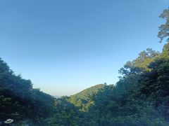 -广州市帽峰山景区