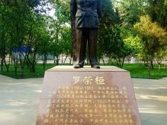 -山东大学(洪家楼校区)