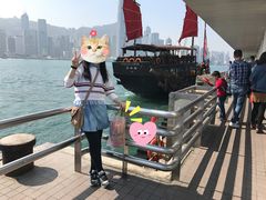 -珍妮曲奇聪明小熊(尖沙咀店)