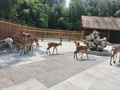 -金沙遗址博物馆