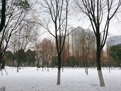 -西北湖绿化广场