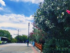 -新江湾城公园
