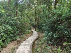 -火炉山森林公园