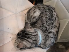 -小时光咖啡馆(北锣鼓巷店)