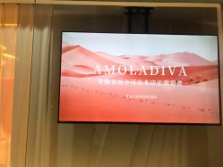 -Amo la Diva造型
