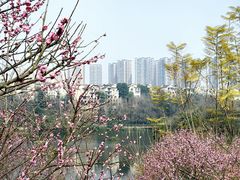-重庆彩云湖湿地公园