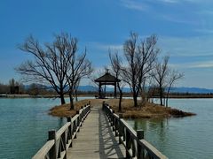 -野鸭湖国家湿地公园
