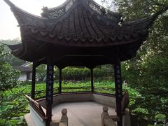 -上海醉白池公园