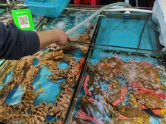 水产区-三亚新鸿港水果一级批发市场