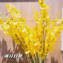 -拉伽瑜伽·普拉提·月付制