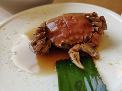 -苏小柳点心·手作小笼包(虹桥天地分院)