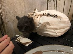 -天水蔬食料理(树德之光店)