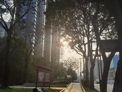 -顺峰山公园