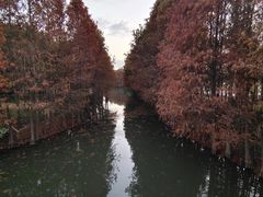 -厦门园林博览苑