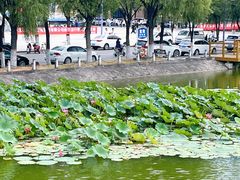 -哈尔滨师范大学(松北校区)