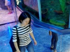 -瑞德姆美人鱼海底演艺主题餐厅(亚龙湾店)