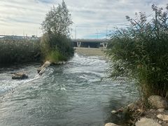 -绿堤公园
