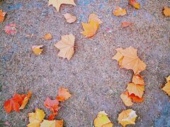 -天津东丽湖风景区