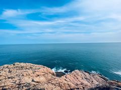 -广东惠东海龟国家级自然保护区