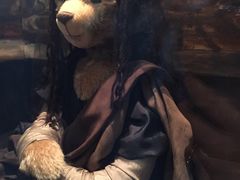 -济州岛泰迪熊博物馆