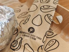 -油梨树 AVOCADO TREE(亮马桥店)