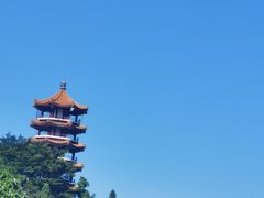 -深圳仙湖植物园