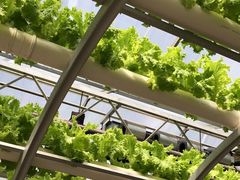 -兴芮温泉度假区