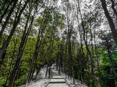 -火炉山森林公园
