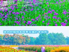 -沉浸北京·团建旅行·密室剧本杀·年会会议轰趴拓展