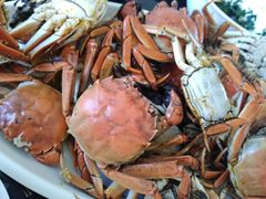 -名都晓荷塘主题火锅(海城街店)