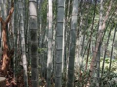 -敬亭山风景名胜区