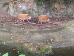 -河川生态园