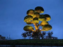 -四川省人民医院(本部)