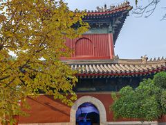 -北京艺术博物馆(万寿寺)
