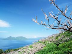 -峰味香.酱香米线.黄焖鸡(定西路店)