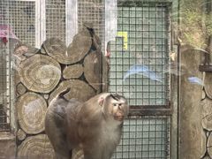 -黔灵山公园