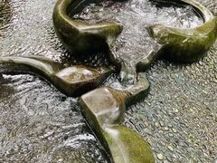 -成都市活水公园
