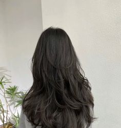 -丽时 Hair Salon