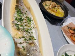 -宋园·金宴浙鲜馆(静安店)