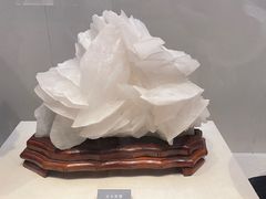-安徽省地质博物馆