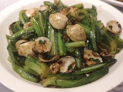 白贝油麦菜-粤·向群饭店(龙津东路总店)