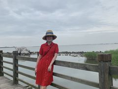 -吴淞炮台湾湿地森林公园烧烤区