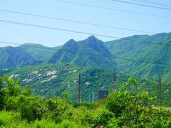 -白水寺森林公园