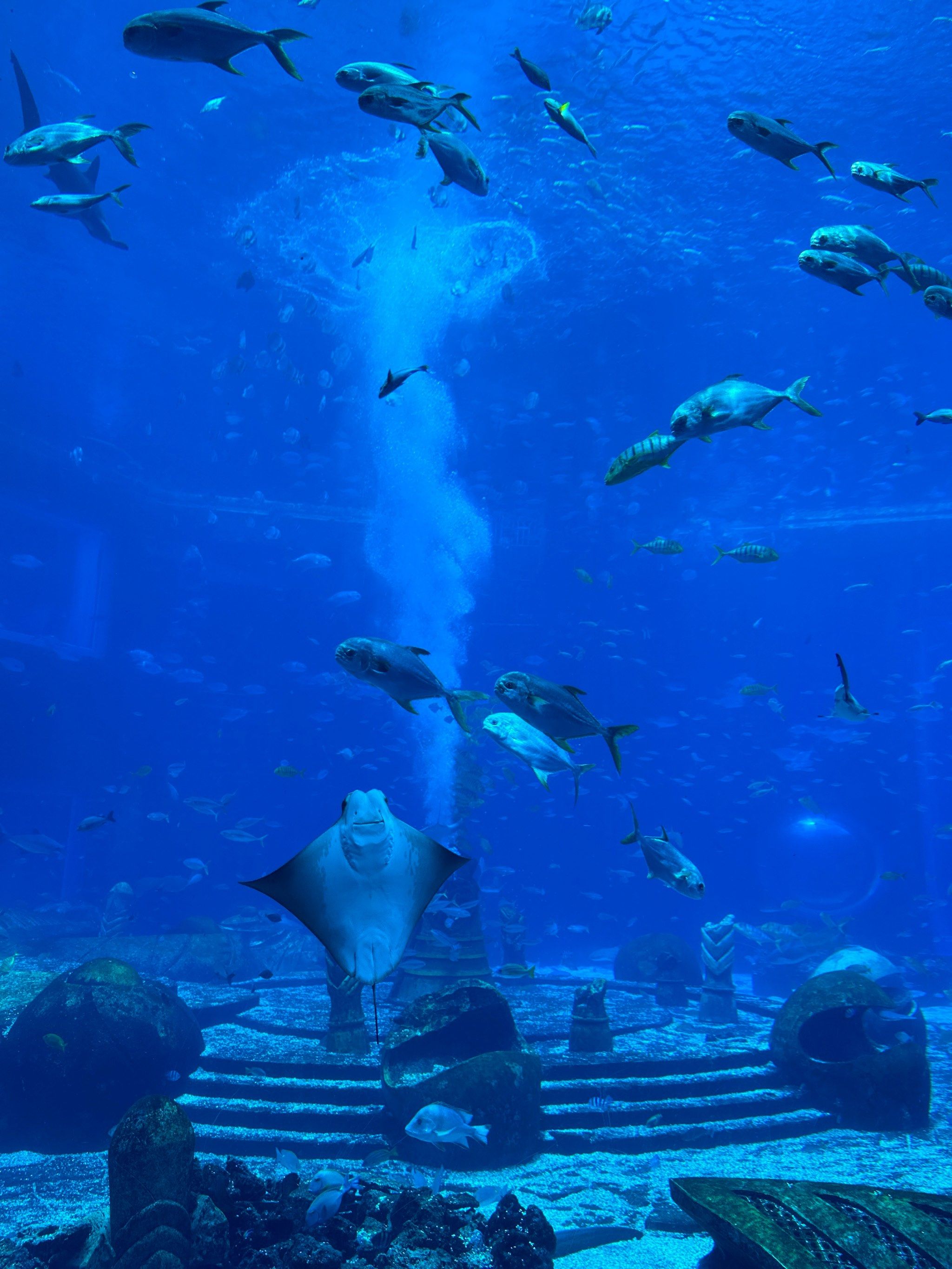 亚特兰蒂斯水族馆