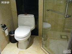 冲淋房和马桶-鸿华度假酒店