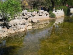 -莲花池公园