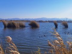 -野鸭湖国家湿地公园