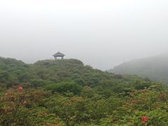 -大围山国家森林公园