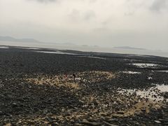 -金太郎海鲜姿造自助烤肉火锅(圣景兴业嘉园店)