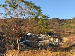 -塔川景区